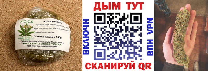 ОМГ ОМГ зеркало Кострома Cannafood конопля