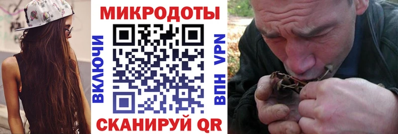 Псилоцибиновые грибы Psilocybine cubensis  наркотики  Кострома 